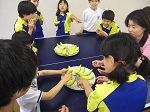 画像の説明